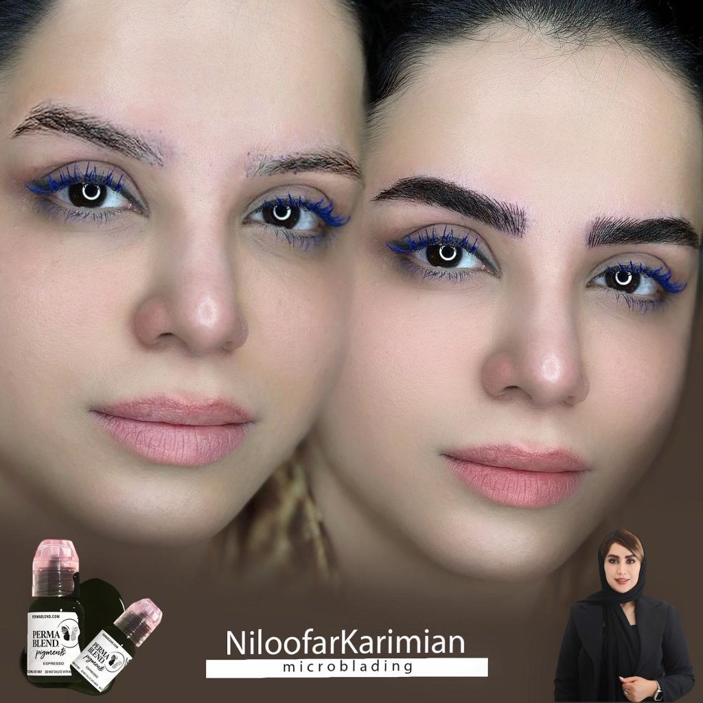 مرکز تخصصی نیلوفر کریمیان میکروبلیدینگ ابرو در مشهد ملک آباد