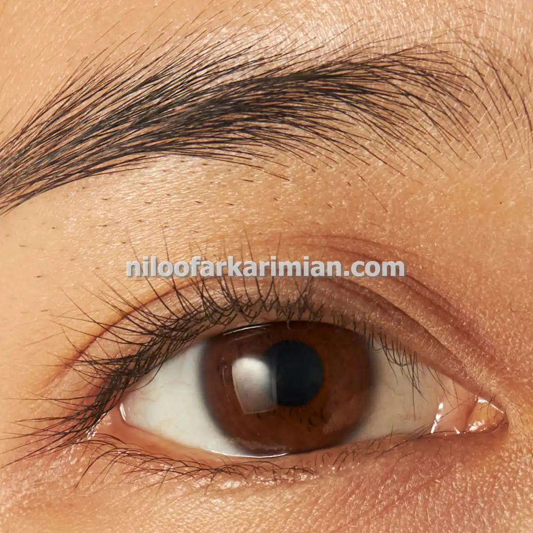 میکروبلیدینگ ابرو با ماندگاری بالا در مشهد